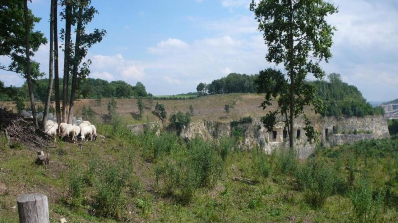 AreaSummer5KM AreaSummer5KM